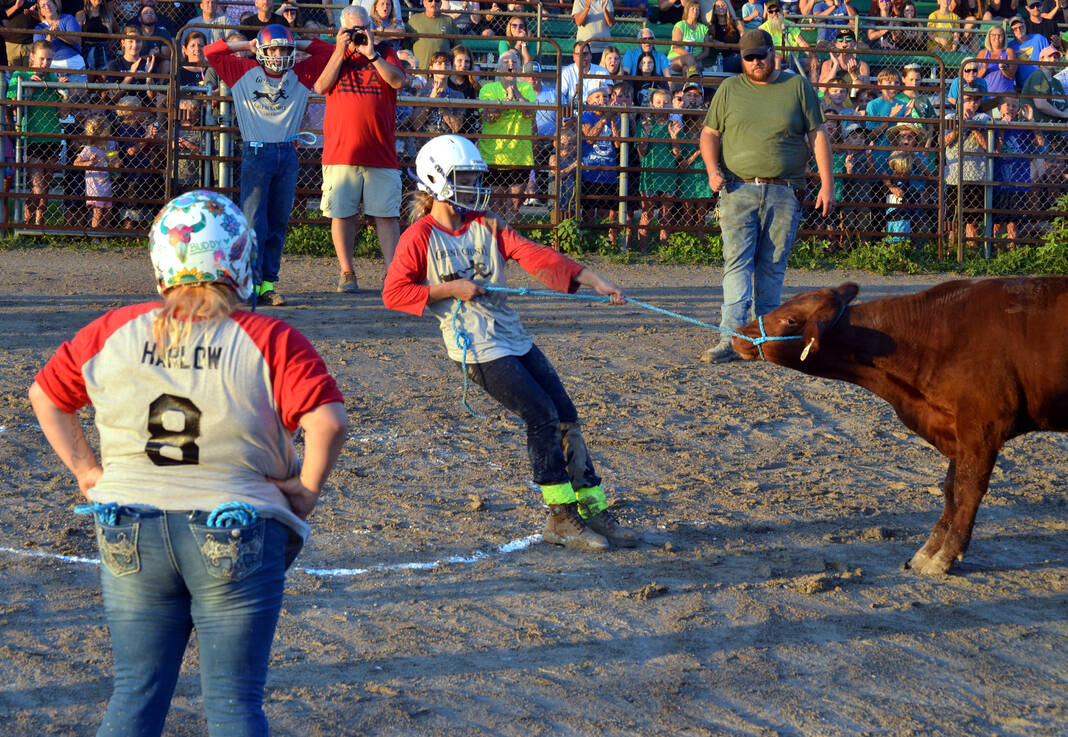 Calf scramble gets 2023 Greene County Fair underway The Xenia Gazette