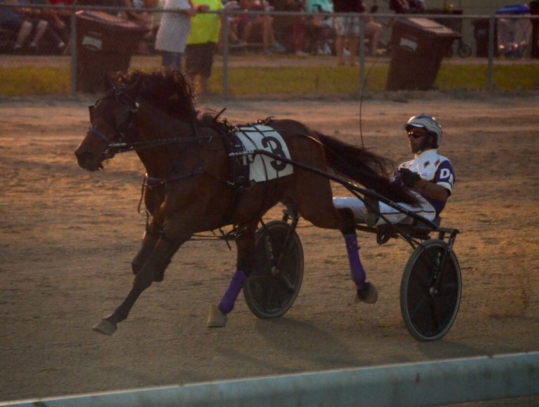 Local horse gets positive reviews in first race